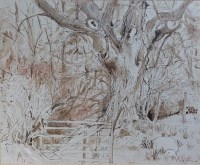 Lot 235 - Claerwen Belinda Holland (b.1942) - Ash tree,...