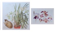 Lot 262 - Elizabeth Blackadder (b.1931) - Abyssinian Cat,...