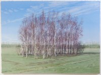 Lot 269 - Lillias August (b.1955) - Birch Grove,...