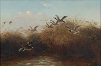 Lot 3548 - Thomas Smythe (1825-1907) - Ducks in flight...