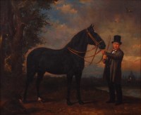 Lot 3567 - F Y Philips - Study of a black stallion with...