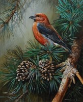 Lot 1425 - Terence James Bond (b.1946) - Crossbill amidst...