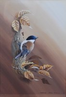 Lot 1426 - Terence James Bond (b.1946) - Marsh Titmouse,...