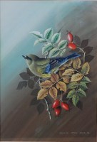 Lot 1427 - Terence James Bond (b.1946) - Cock Greenfinch,...