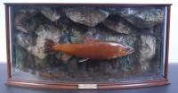 Lot 1317 - An early 20th century taxidermy stuffed and...