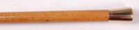 Lot 1330 - A malacca walking cane, having horn tip and...