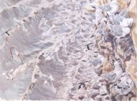 Lot 206 - David Bennett SWLA (b.1969) - Bempton Cliffs,...