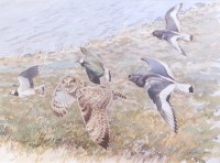 Lot 207 - David Bennett SWLA (b.1969) - Owl and Gulls by...