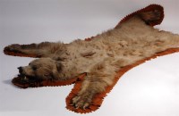 Lot 468 - A Victorian bearskin rug, with head and blond...