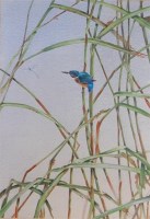 Lot 1468 - David Ord Kerr (b.1951) - Kingfisher and...