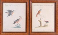 Lot 1497 - Saverio Manetti (Italian C18th) - Four studies...