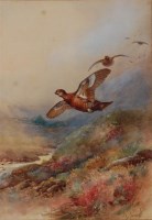 Lot 1511 - William E Powell (1878-1955) - Grouse in...