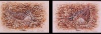 Lot 718 - Mark Chester (b.1960) - Pair; Nesting...