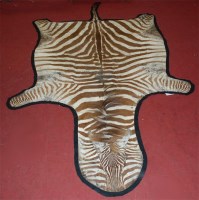 Lot 819 - An East African zebra skin rug, with felted...