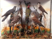 Lot 335 - A case of mixed stuffed and mounted birds, to...