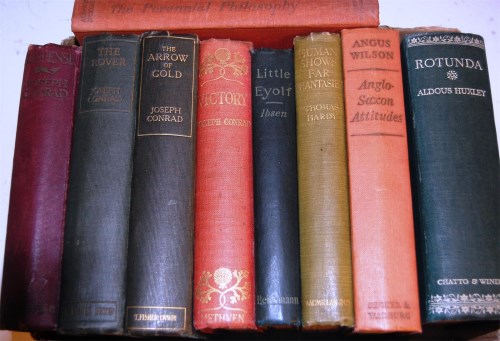 Lot 13 - BOX, HARDY Thomas, Human Shows, Far Phantasies,...
