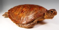 Lot 292 - A Victorian stuffed turtle, 65cm
