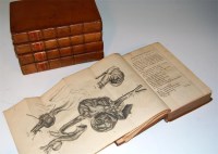 Lot 417 - Medical Observations and Inquiries by a...