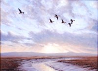 Lot 798 - Julian Novorol (Contemporary) - Ducks in...