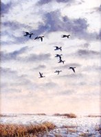 Lot 799 - Julian Novorol (Contemporary) - Ducks in...