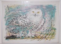 Lot 1604 - David Kosler (American b.1900) a set of four...