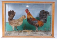 Lot 1611 - A 20th century taxidermy brace of Bantams...
