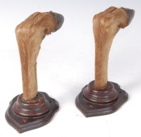 Lot 1613 - A pair of 20th century taxidermy deers hoof...