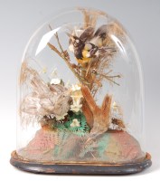 Lot 1614 - A Victorian taxidermy group of three exotic...