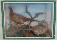 Lot 1620 - An early 20th century taxidermy Cock and Hen...