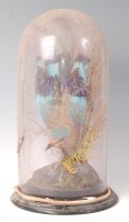 Lot 1621 - A Victorian taxidermy Indian Roller (Coracias...