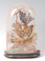 Lot 1622 - A Victorian taxidermy Yellow wagtail...
