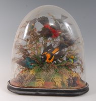Lot 1639 - A Victorian taxidermy group of eight exotic...