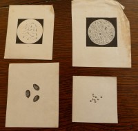 Lot 2049 - Alfred Swaine Taylor, small bundle of...