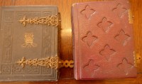 Lot 2164 - A carte de visite albums, containing 20...
