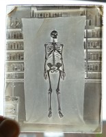 Lot 2166 - Two glass plate wet collodion negatives, each...