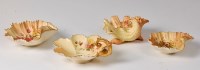 Lot 1037 - A Royal Worcester blush ware shell dish, shape...