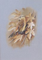 Lot 1340 - Terence James Bond (b.1946) - Yellowhammer...
