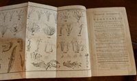 Lot 2028 - WITHERING, William, A Botanical Arrangement of...