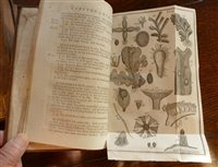 Lot 2028 - WITHERING, William, A Botanical Arrangement of...