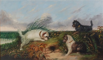 Lot 1525 - J Langlois (1855-1904) - Terriers rabbiting,...