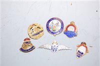 Lot 487 - A small collection of assorted lapel badges