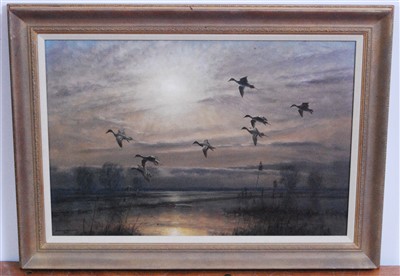 Lot 414 - Julian Novorol