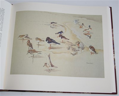 Lot 1009 - Ennion, Eric, Birds and Seasons. Arlequin...