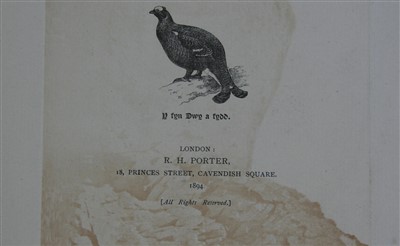 Lot 1013 - MATHEW, Rev. Murray, A, The Birds of...