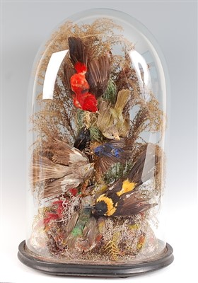 Lot 458 - A Victorian taxidermy group of seven exotic birds
