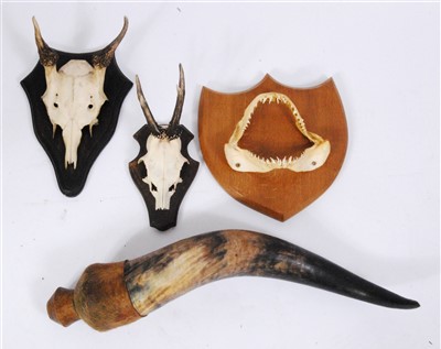 Lot 437 - A 20th century Blue shark?