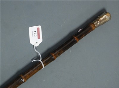Lot 120 - A circa 1900 walking stick, having bamboo...