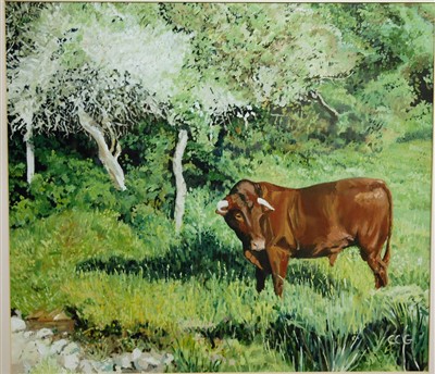 Lot 1030 - Contemporary school - lone bullock in a sunlit...