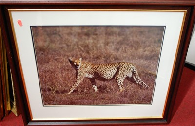 Lot 1092 - Terry Andrewartha - quantity of original...