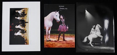 Lot 309 - Photographs of horse acts (7)